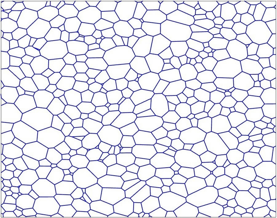 NFP Simulation